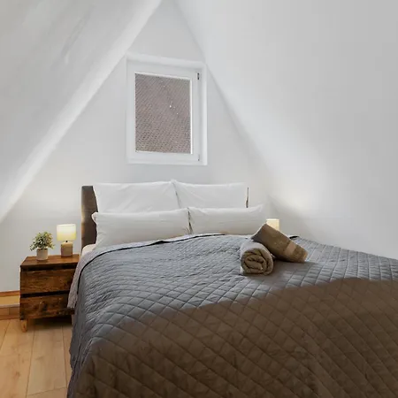 Apartament Comfy Altstadt-loft